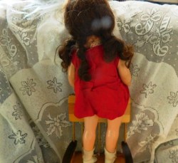 21 inch mama red back